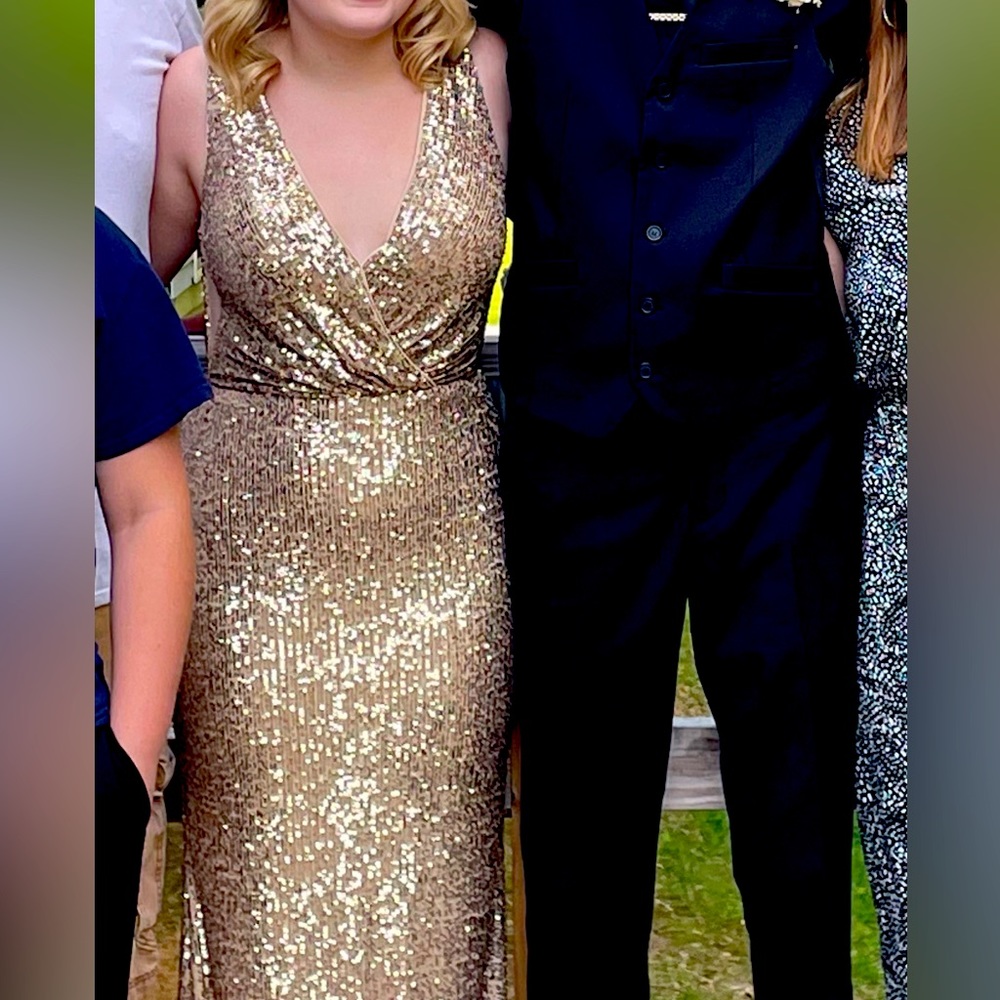 Prom Dress or Formal Dress